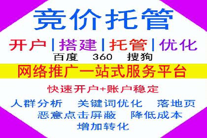 百度竞价广告投放策略：案例分析及效果评估
